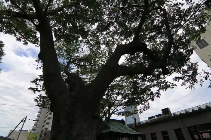 阿邪訶根神社の自然