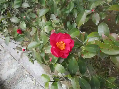 伊勢神宮内宮（皇大神宮）(三重県)