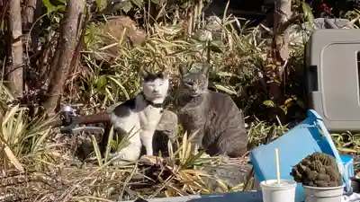 玉田神社(京都府)