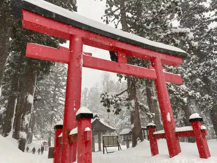 出羽神社(出羽三山神社)~三神合祭殿~の鳥居