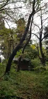 神明神社の自然