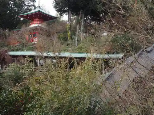 高野寺の景色