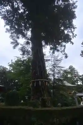 香取神宮(千葉県)