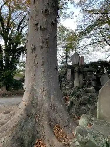 東石清水八幡神社(埼玉県)