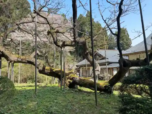 勝源院の{uncategorized: "未分類", other: "その他", undefined: "問題あり", building: "その他建物", grave: "お墓", sacred_gate: "鳥居", guardian: "狛犬", statue: "像", buddha: "仏像", history: "歴史", nature: "自然", garden: "庭園", animal: "動物", pagoda: "塔", temizu: "手水舎", mountain_gate: "山門・神門", sanctuary: "本殿・本堂", subordinate: "末社・摂社", art: "芸術", scenery: "景色", jizo: "地蔵", ema: "絵馬", goshuin: "御朱印", omikuji: "おみくじ", items: "授与品その他", amulet: "お守り", goshuincho: "御朱印帳", eats: "食事", festival: "お祭り", votive_dance: "神楽", shichigosan: "七五三参", wedding: "結婚式", experience: "体験その他", initially: "初詣", around: "周辺", anti_infection: "感染症対策"}