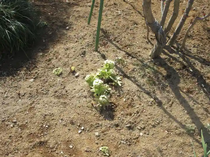 徳恩寺(神奈川県)