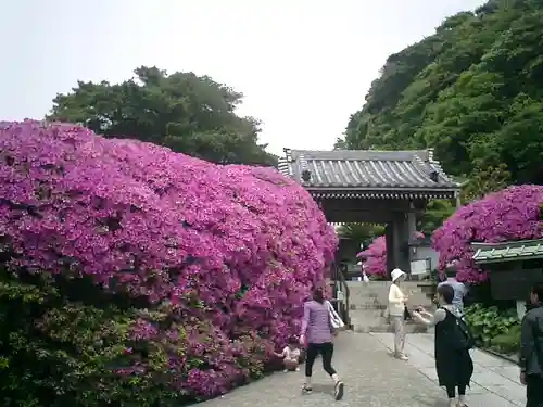 安養院　(田代寺）の山門