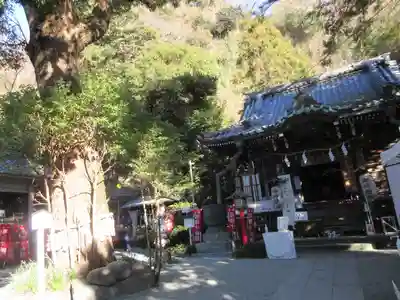 八雲神社（鎌倉・大町）の本殿・本堂