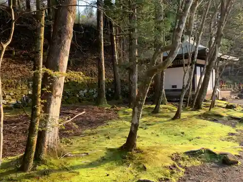 慈雲寺（並び地蔵　化け地蔵）の庭園