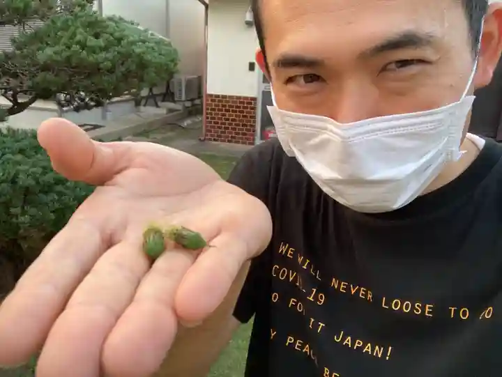 蓮久寺(千葉県)