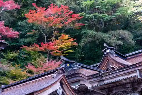 大矢田神社(岐阜県)