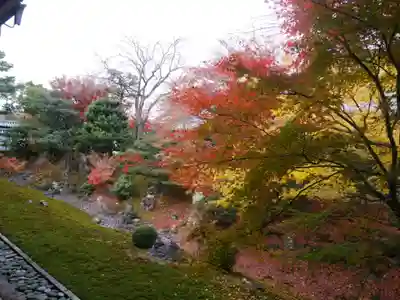 相国寺（相国承天禅寺）(京都府)