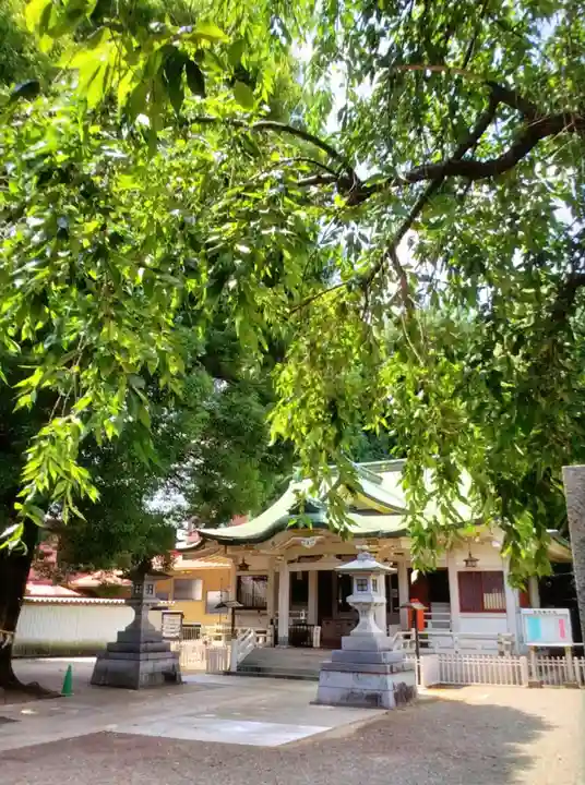 荻窪白山神社(東京都)