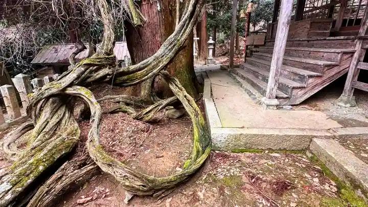 千磐神社(岡山県)