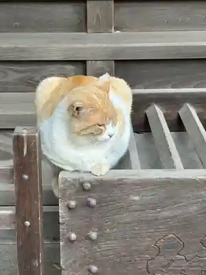 雀神社(茨城県)