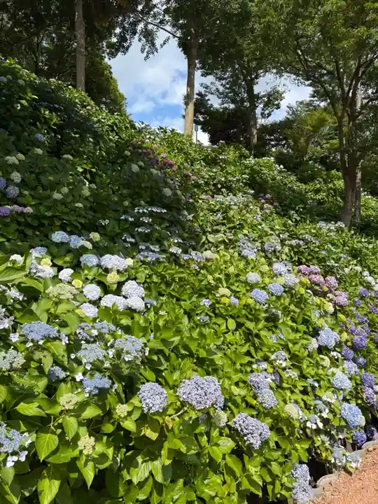 二本松寺(茨城県)