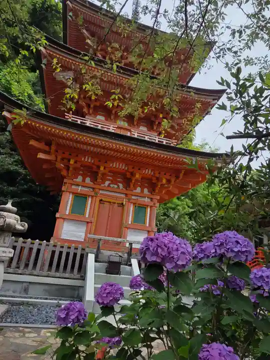 宝厳寺(滋賀県)