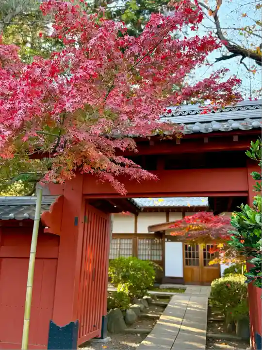 豪徳寺(東京都)