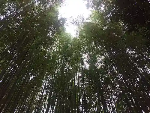 隨心院（随心院）(京都府)