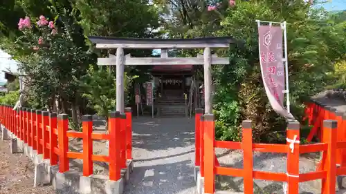 出雲大神宮の鳥居