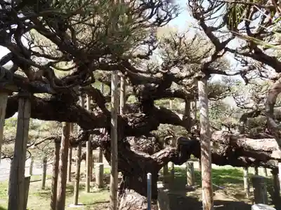 満光寺(長野県)