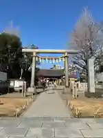 浅草神社の鳥居