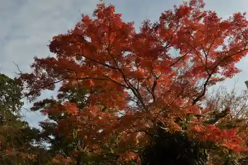 談山神社の自然