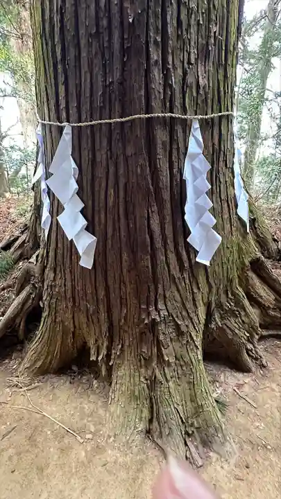 黒沼神社(福島県)