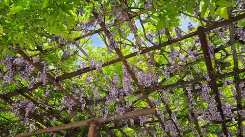 笠間稲荷神社の庭園