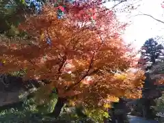 海蔵寺(神奈川県)