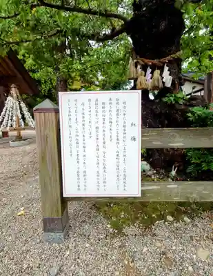 射水神社の歴史