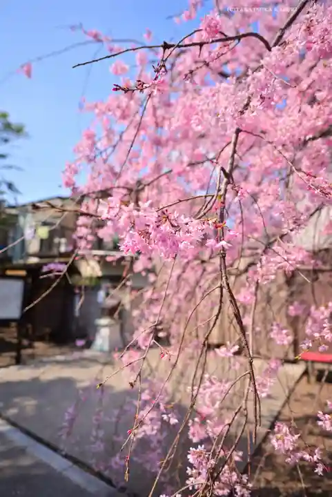 猿田彦神社(東京都)