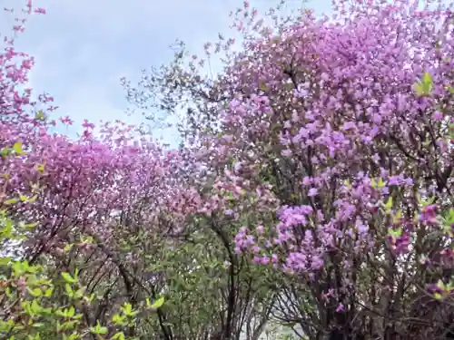 廣田神社(兵庫県)