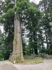 戸隠神社中社(長野県)