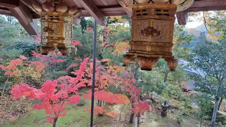 光明寺(粟生光明寺)(京都府)