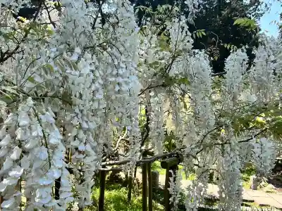 歌泉堂（春日大社神苑萬葉植物園内鎮座）(奈良県)