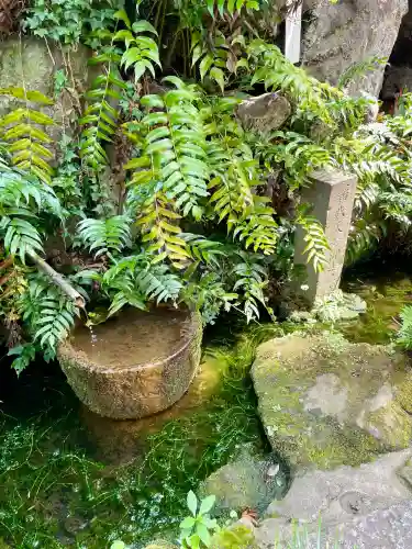 奥澤神社(東京都)