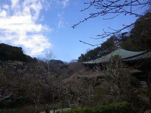 瑞泉寺のその他建物