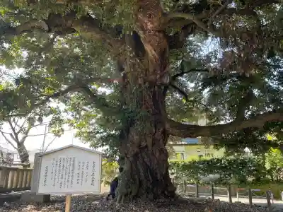 一之宮貫前神社(群馬県)