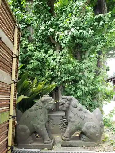 麻布氷川神社の狛犬