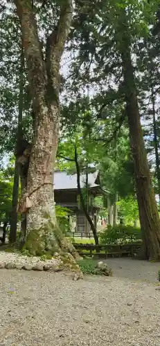 横山不動尊の庭園