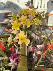 生田神社の手水