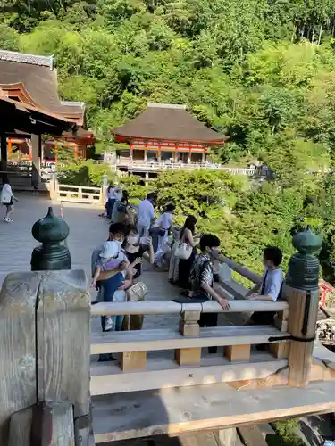 清水寺の景色