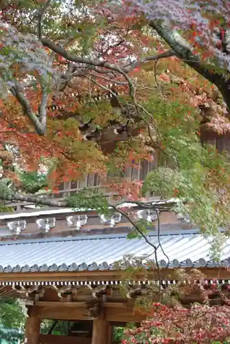 功山寺(山口県)