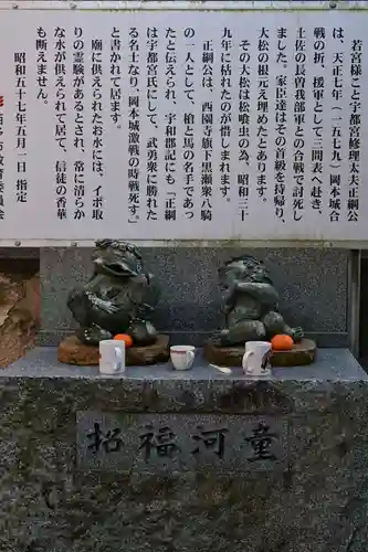 若宮神社（大松若宮八幡社）(愛媛県)