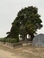 水天宮(千葉県)