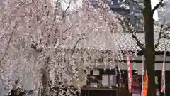 頂法寺（六角堂）の建物その他