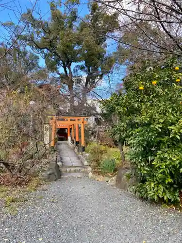 平野神社の鳥居