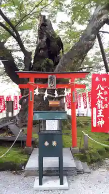 秩父今宮神社(埼玉県)