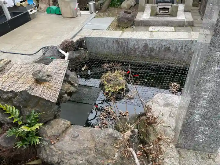 善慶寺の{uncategorized: "未分類", other: "その他", undefined: "問題あり", building: "その他建物", grave: "お墓", sacred_gate: "鳥居", guardian: "狛犬", statue: "像", buddha: "仏像", history: "歴史", nature: "自然", garden: "庭園", animal: "動物", pagoda: "塔", temizu: "手水舎", mountain_gate: "山門・神門", sanctuary: "本殿・本堂", subordinate: "末社・摂社", art: "芸術", scenery: "景色", jizo: "地蔵", ema: "絵馬", goshuin: "御朱印", omikuji: "おみくじ", items: "授与品その他", amulet: "お守り", goshuincho: "御朱印帳", eats: "食事", festival: "お祭り", votive_dance: "神楽", shichigosan: "七五三参", wedding: "結婚式", experience: "体験その他", initially: "初詣", around: "周辺", anti_infection: "感染症対策"}